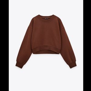 Zara Brown Crewneck Sweater